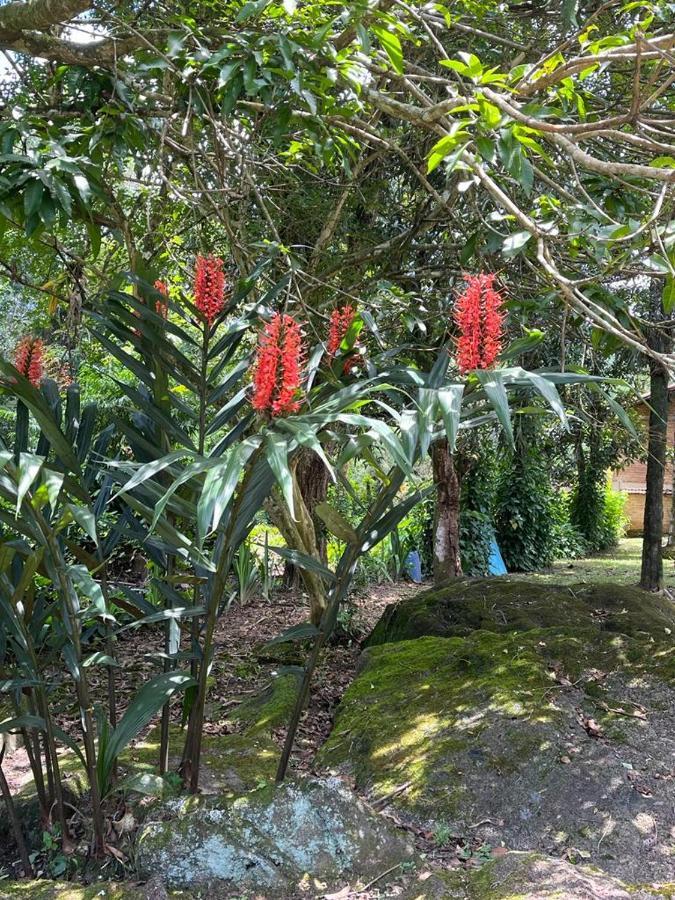 Sitio Serenar Chales Equipados เปเนโด ภายนอก รูปภาพ
