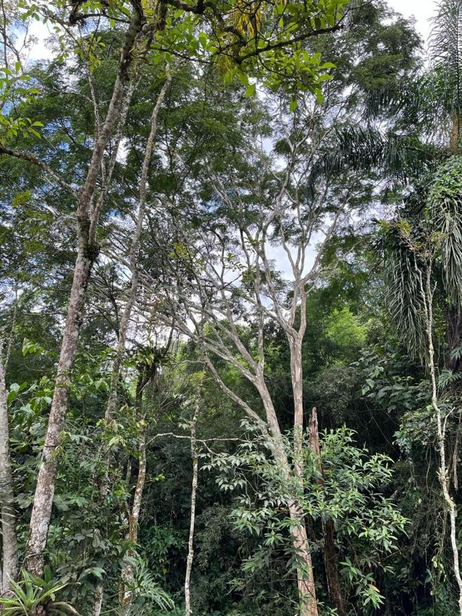 Sitio Serenar Chales Equipados เปเนโด ภายนอก รูปภาพ